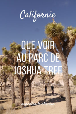 californie que voir parc national joshua tree randonnees etats-unis blog voyage road-trip usa arpenter le chemin