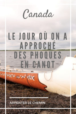 canot phoques kouchibouguac nouveau-brunswick acadie moncton blog voyage road-trip canada arpenter le chemin