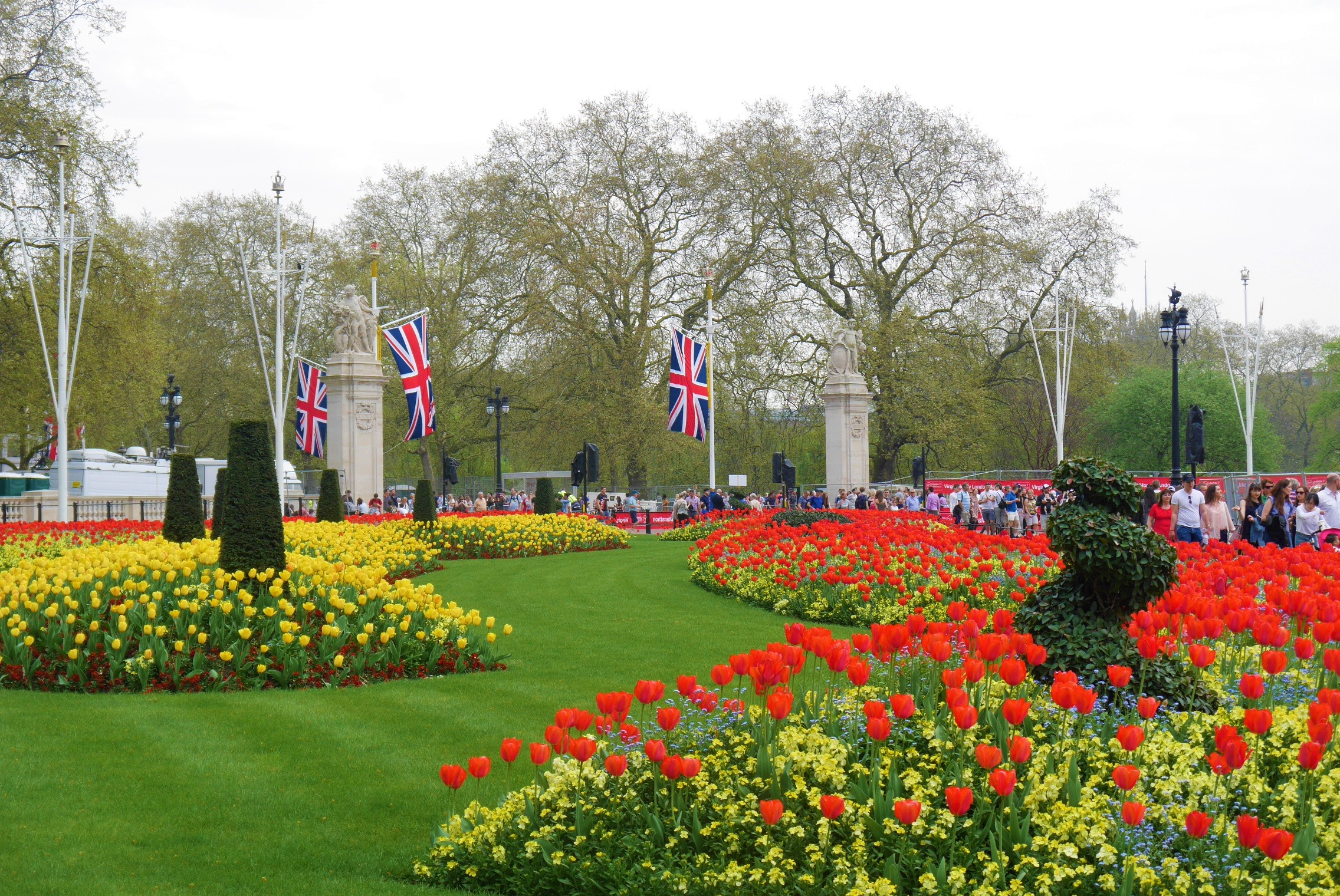 Buckingham Palace tulipes Londres Arpenter le chemin
