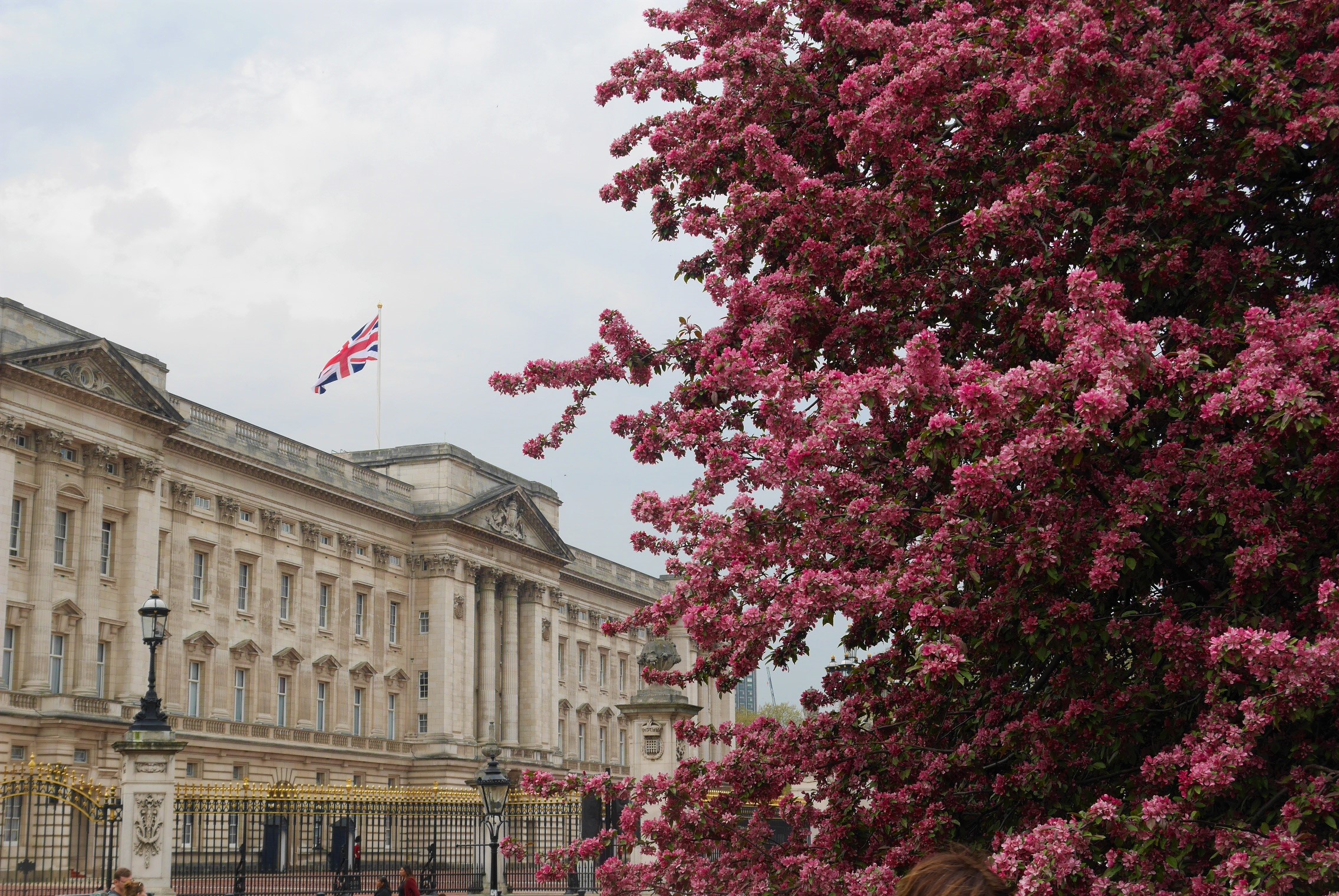 Palais de Buckingham Arpenter le chemin blog voyage