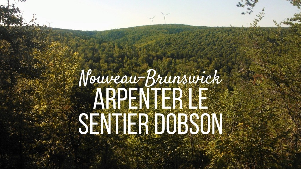 Faire le sentier Dobson randonnée Nouveau-Brunswick