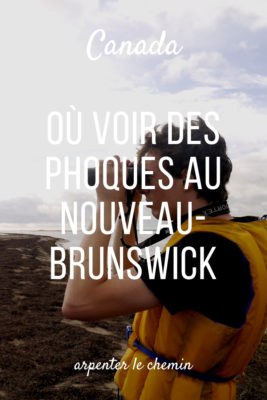 où voir phoques kouchibouguac nouveau-brunswick canot blog voyage road-trip canada arpenter le chemin
