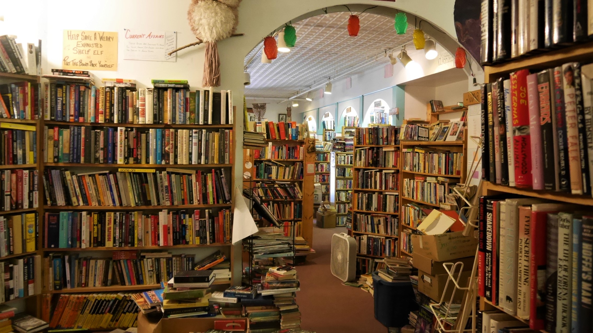 Fredericton Owl's nest bookstore