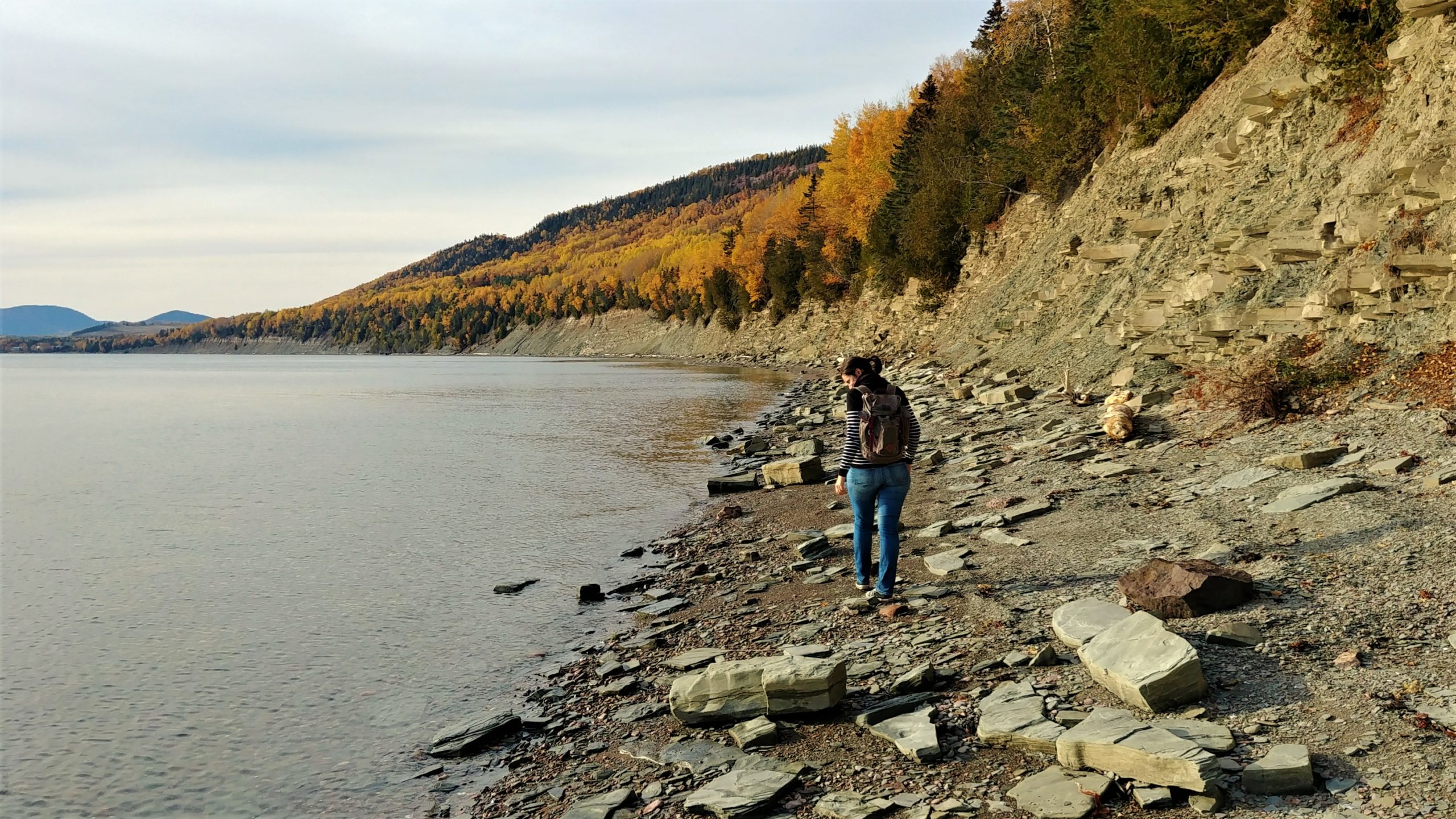 Parc national Miguasha Québec visiter infos pratiques blog voyage canada arpenter le chemin