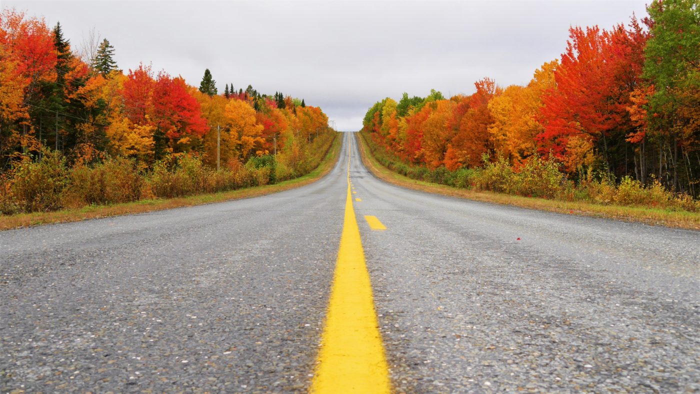 Mont Carleton Nouveau-Brunswick Canada Acadie road-trip automne blog voyage road-trip arpenter le chemin route