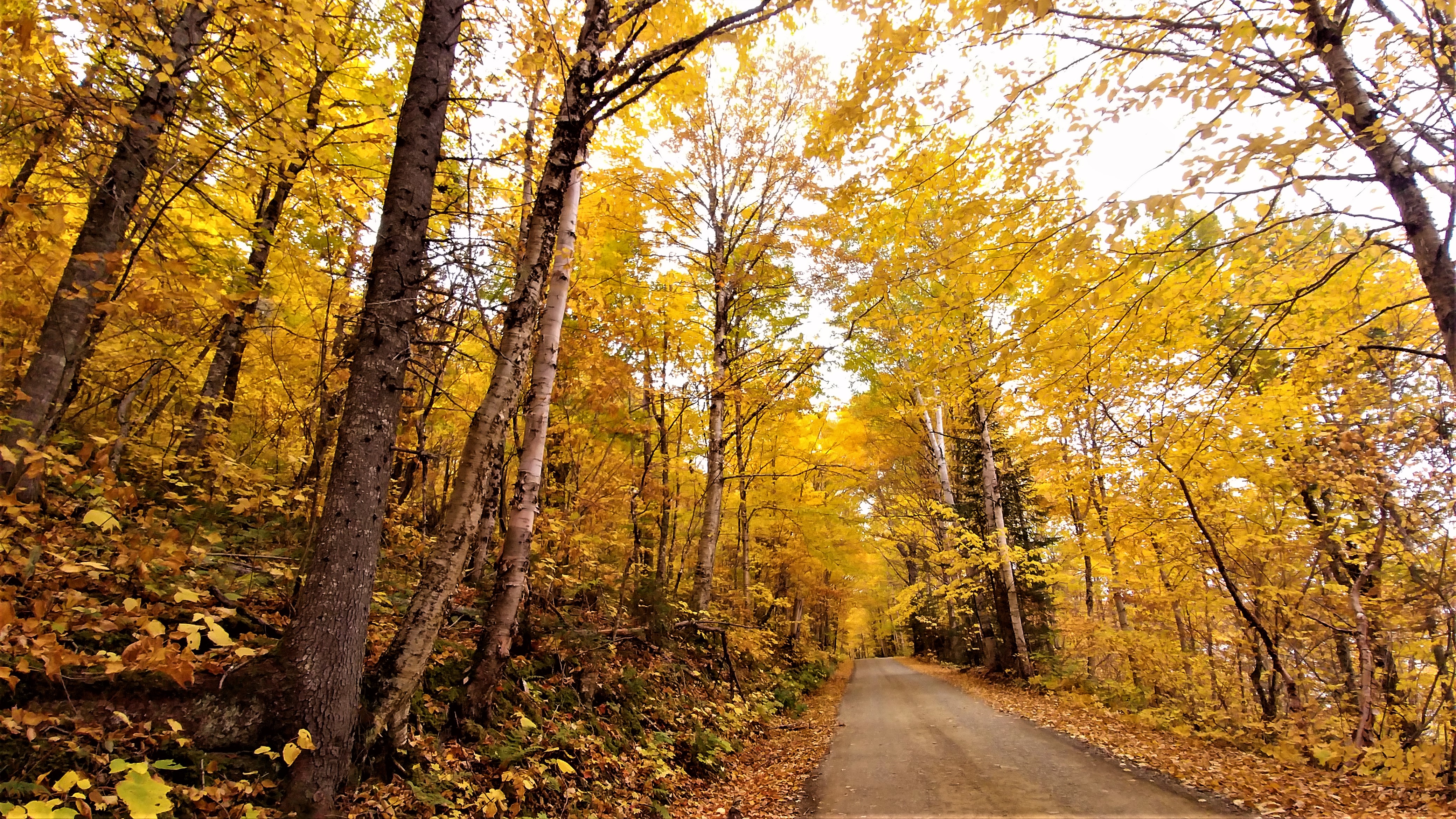 route Mont Carleton Nouveau-Brunswick Canada Acadie road-trip automne blog voyage road-trip arpenter le chemin