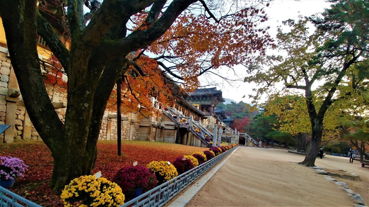 bulguksa retraite bouddhiste templestay coree du sud blog voyage arpenter le chemin