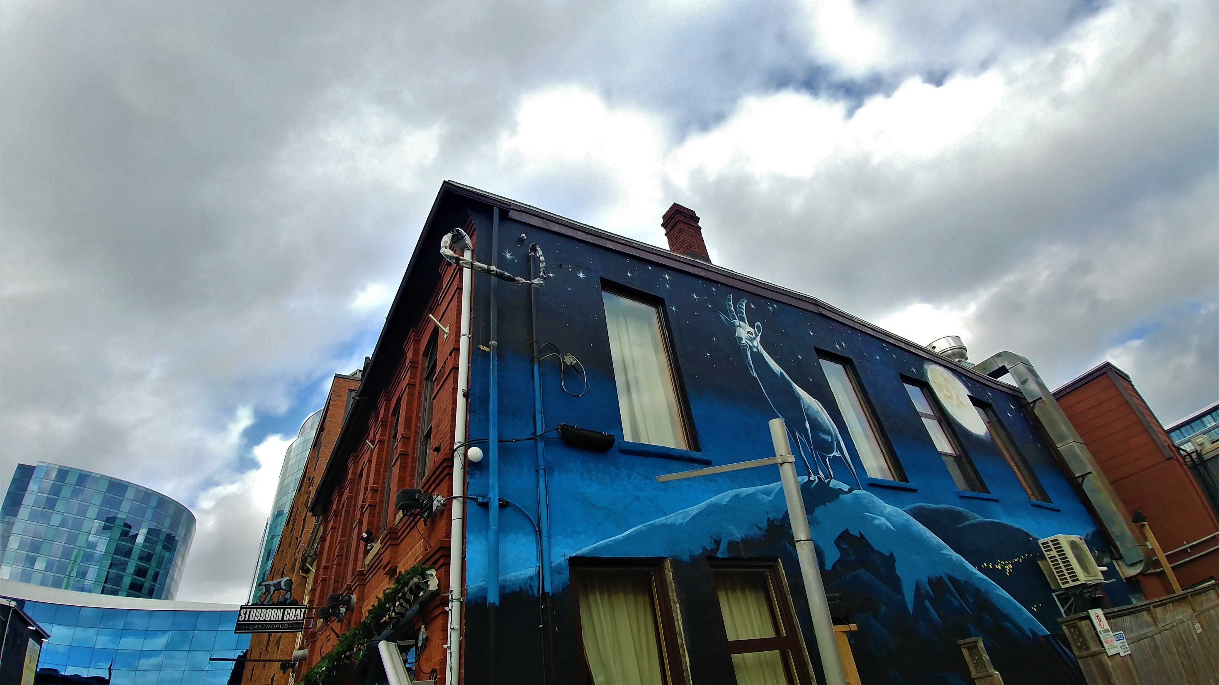 Halifax street art escapade que faire blog voyage canada maritimes arpenter le chemin