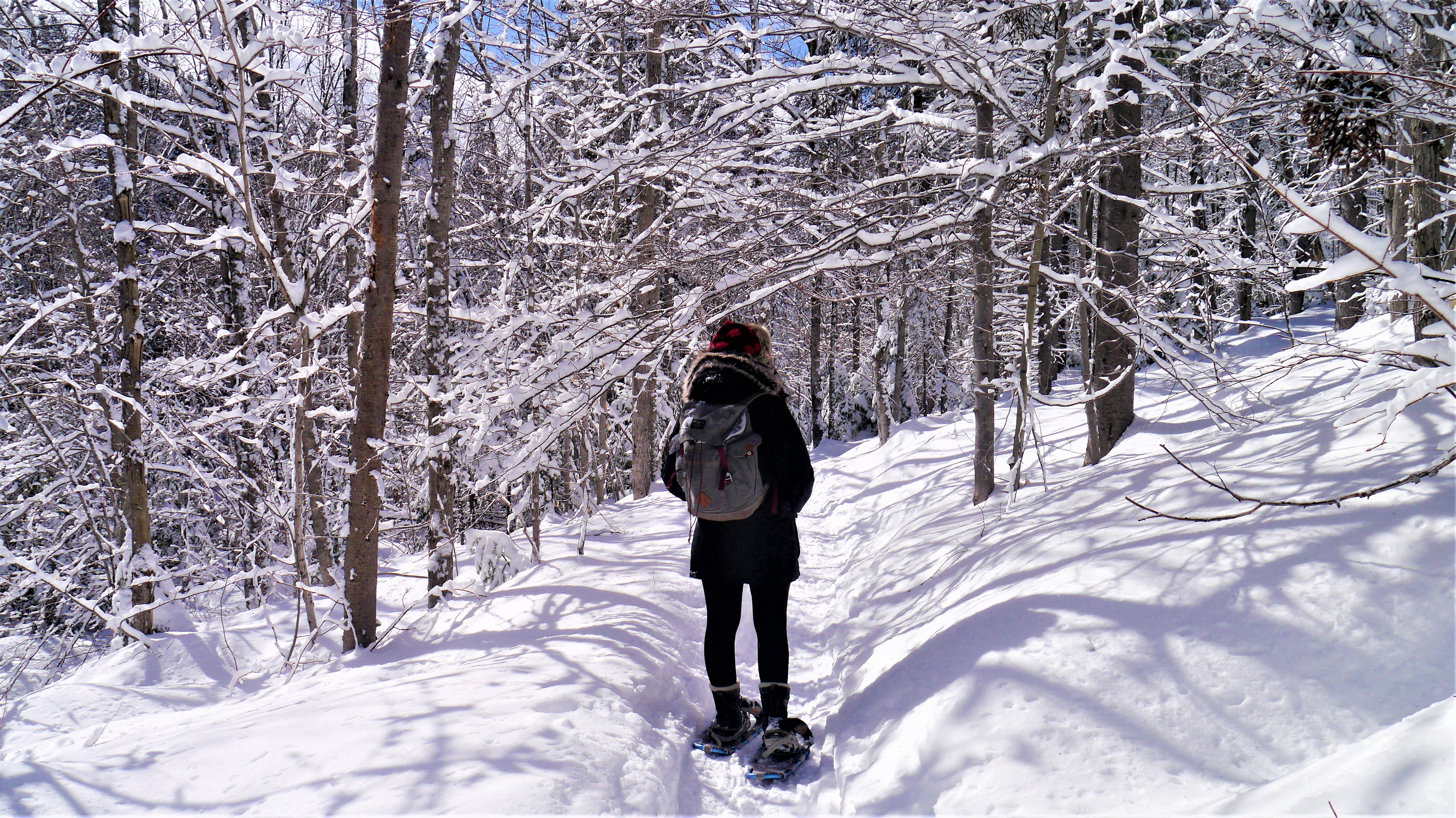 Acadie road-trip itineraire hiver campbellton mont sugarloaf blog voyage canada arpenter le chemin