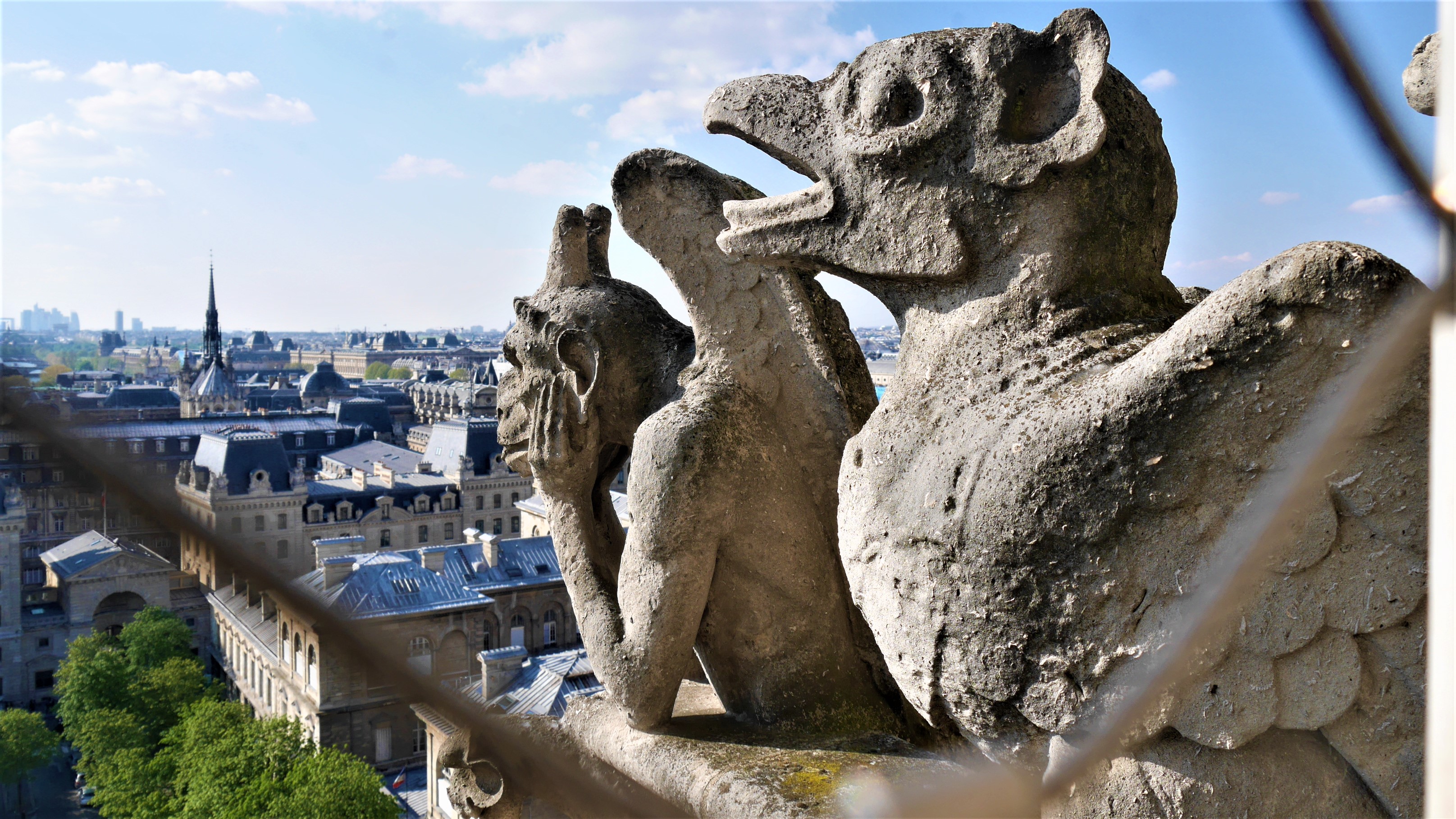 Notre-Dame Paris gargouilles chimeres visiter tours