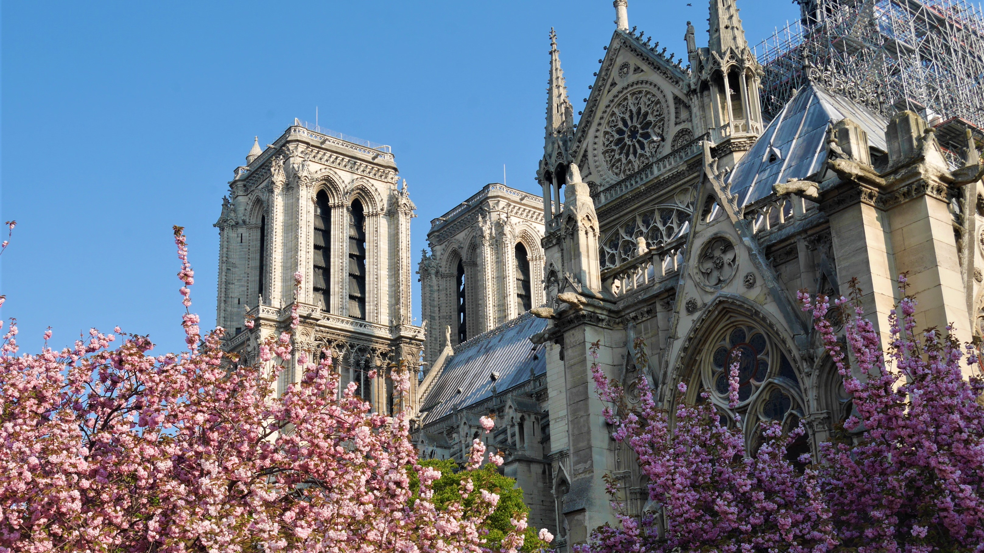 Notre-Dame Paris visiter printemps