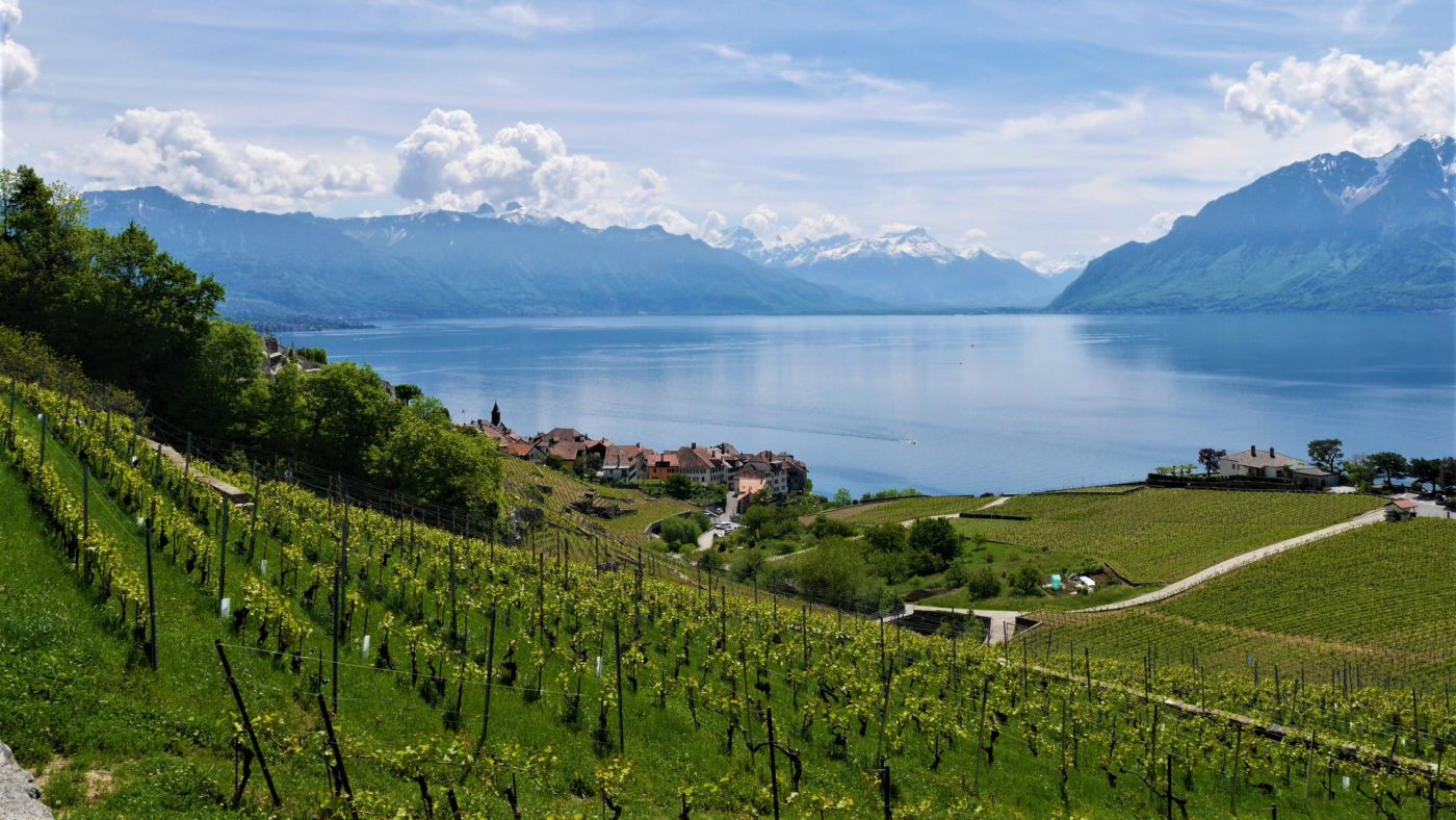 Lavaux leman vevey que faire vignoble unesco blog voyage suisse arpenter le chemin