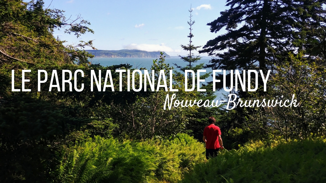 parc national fundy nouveau-brunswick canada