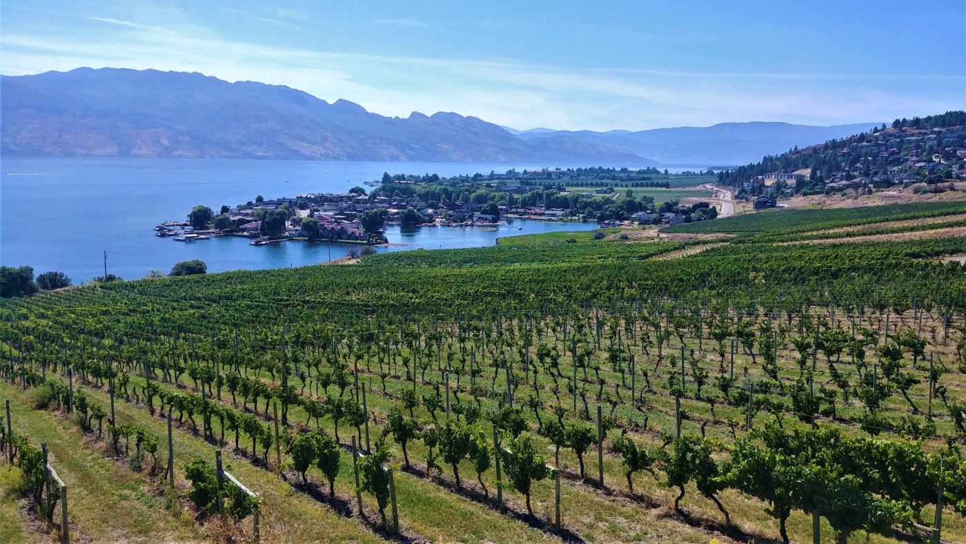 Kelowna vignoble quails gate lake country blog voyage road-trip rocheuses ouest canada arpenter le chemin