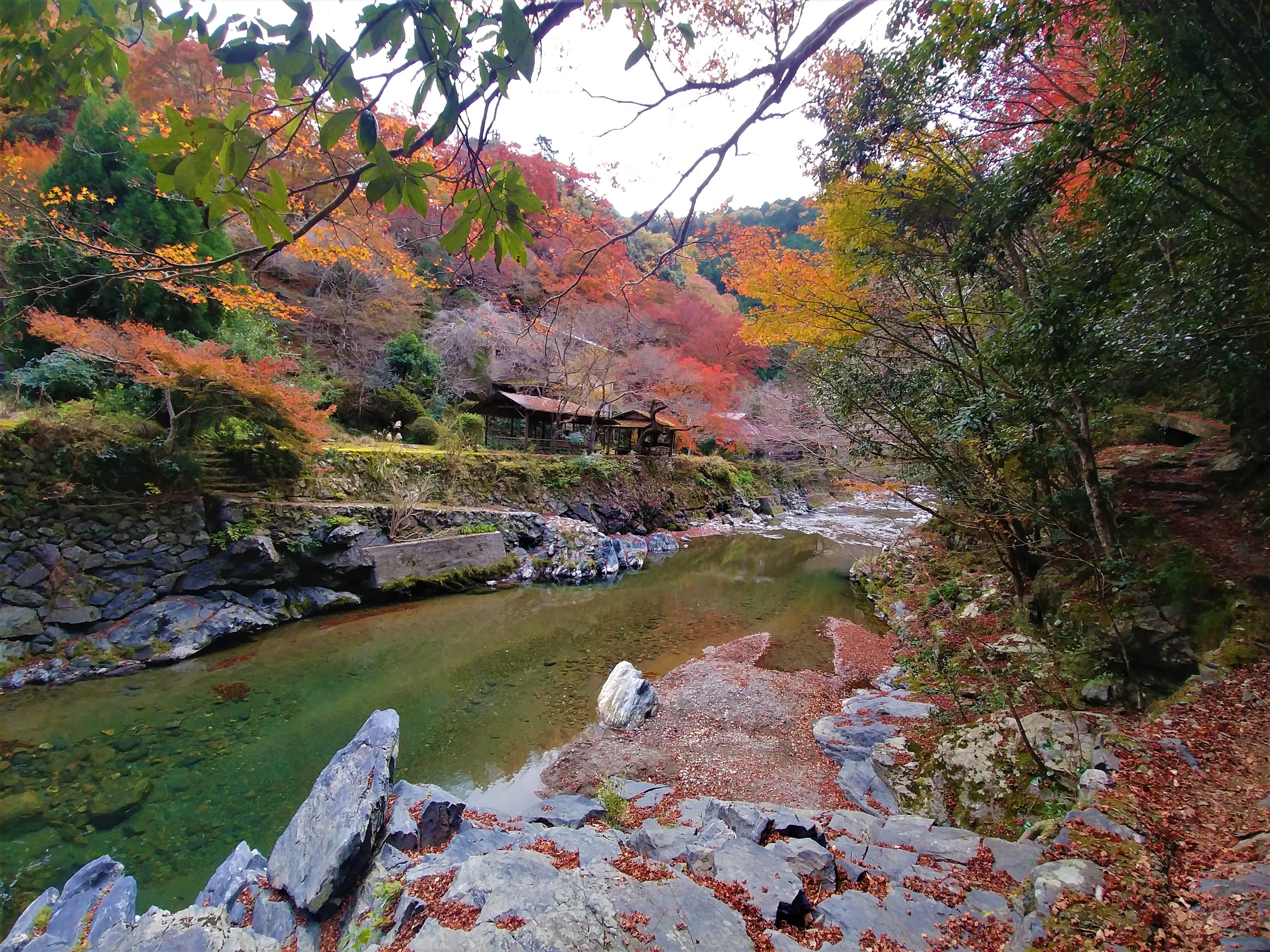 takao togano kyoto randonnee automne japon blog voyage arpenter le chemin