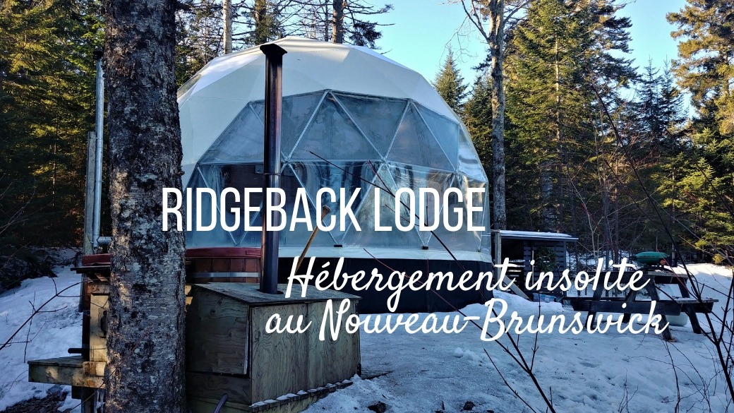 Ridgeback Lodge glamping