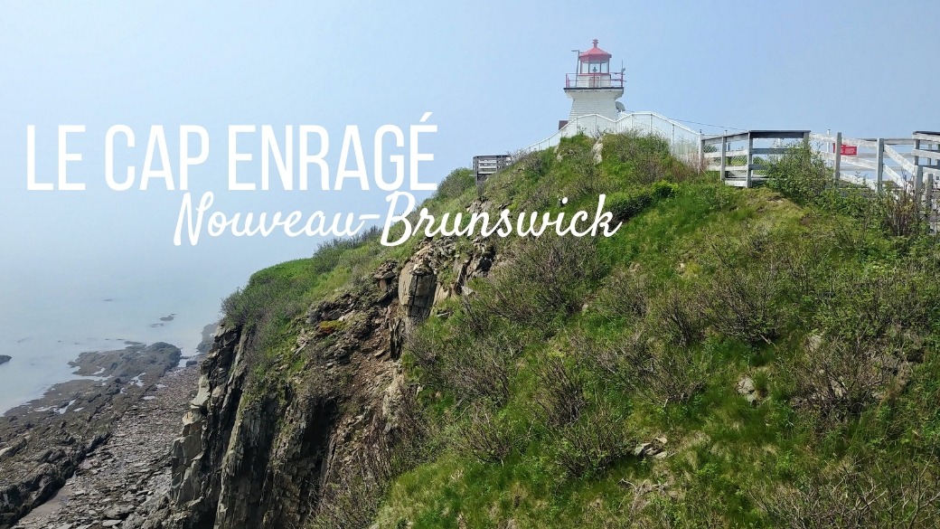 Visiter le Cap Enragé - Nouveau-Brunswick