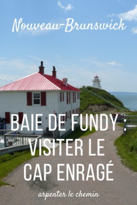 Visiter le Cap Enragé dans la baie de Fundy __ Nouveau-Brunswick, Canada