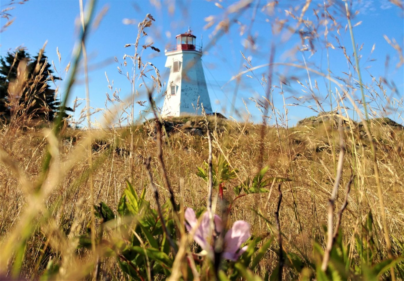 Grand Manan phare Swallowtail Lighthouse que voir blog voyage Nouveau-Brunswick Canada