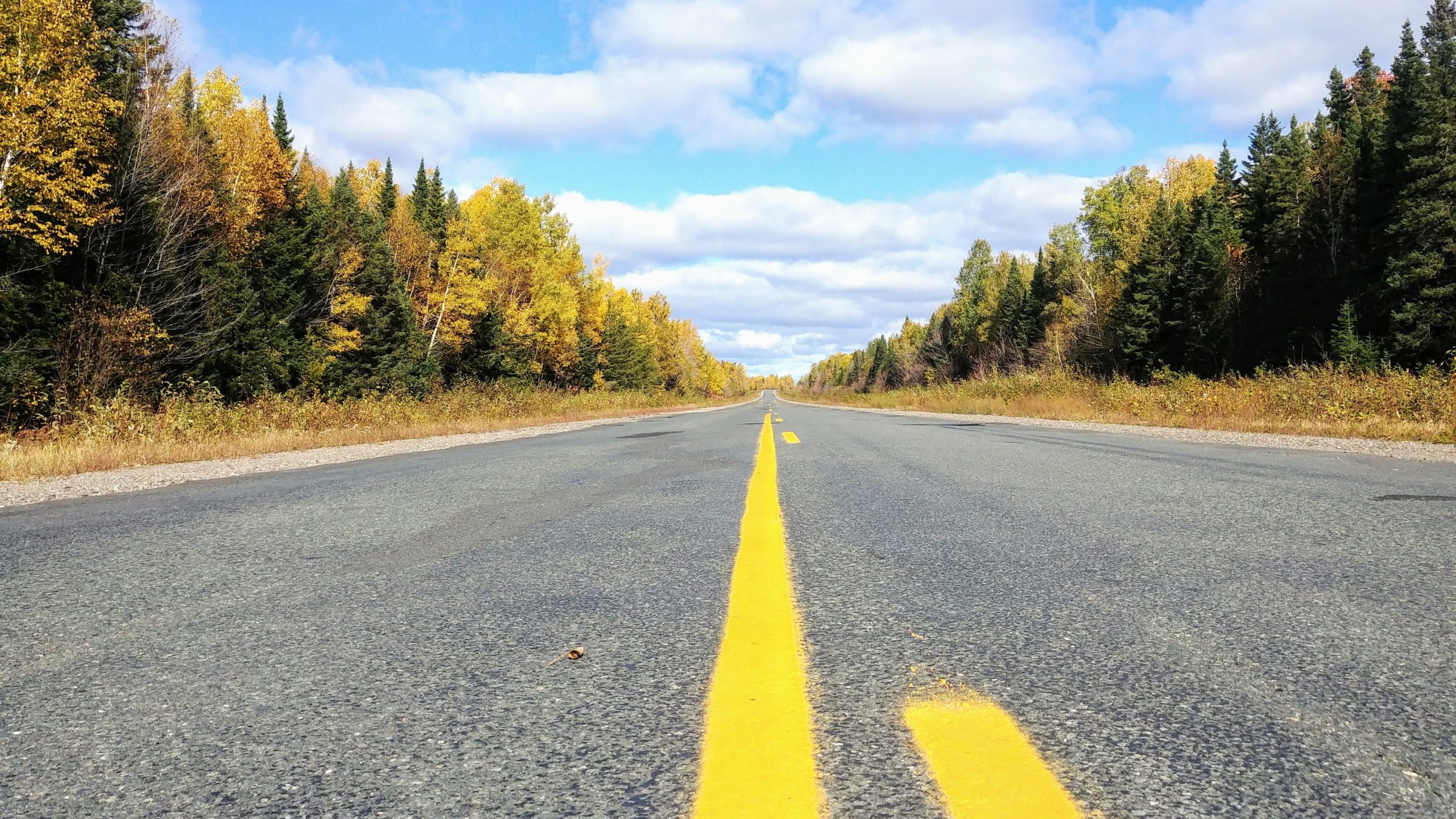 Road-trip escapade automne Nouveau-Brunswick itinéraire blog voyage Arpenter le chemin