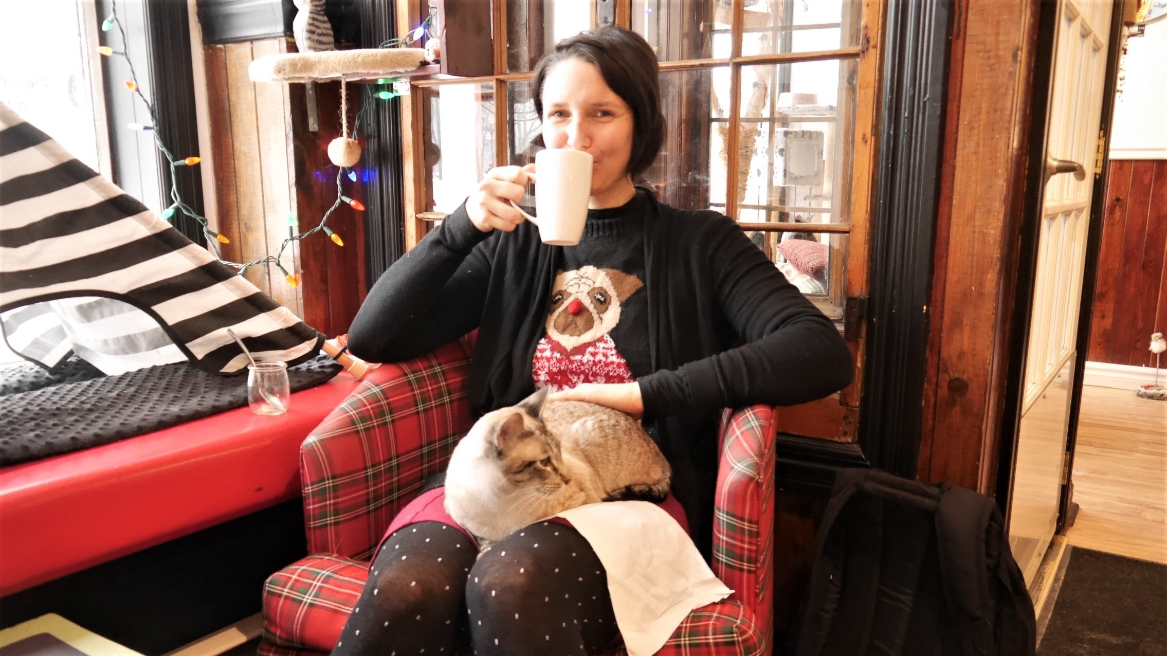 Quebec Noel cafe felin ma langue aux chats blog voyage arpenter le chemin canada