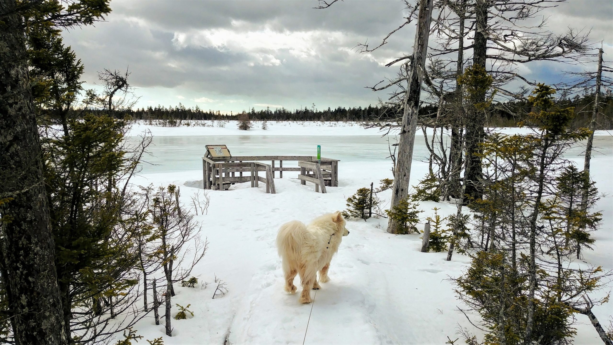 Rando parc Fundy hiver Nouveau-Brunswick blog voyage Arpenter le chemin
