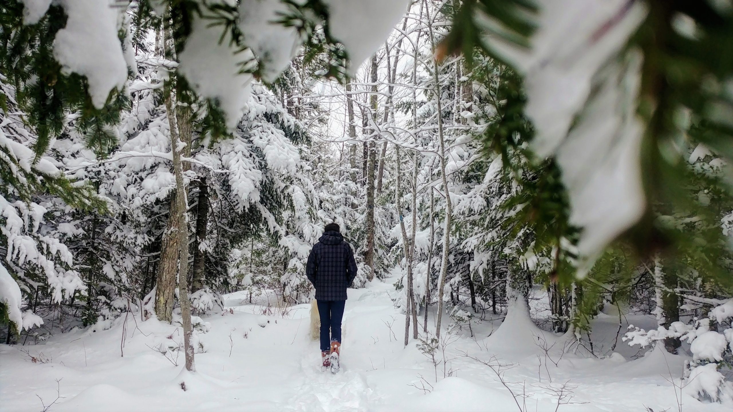 Randonnée hiver Nouveau-Brunswick parc Irishtown Moncton Arpenter le chemin