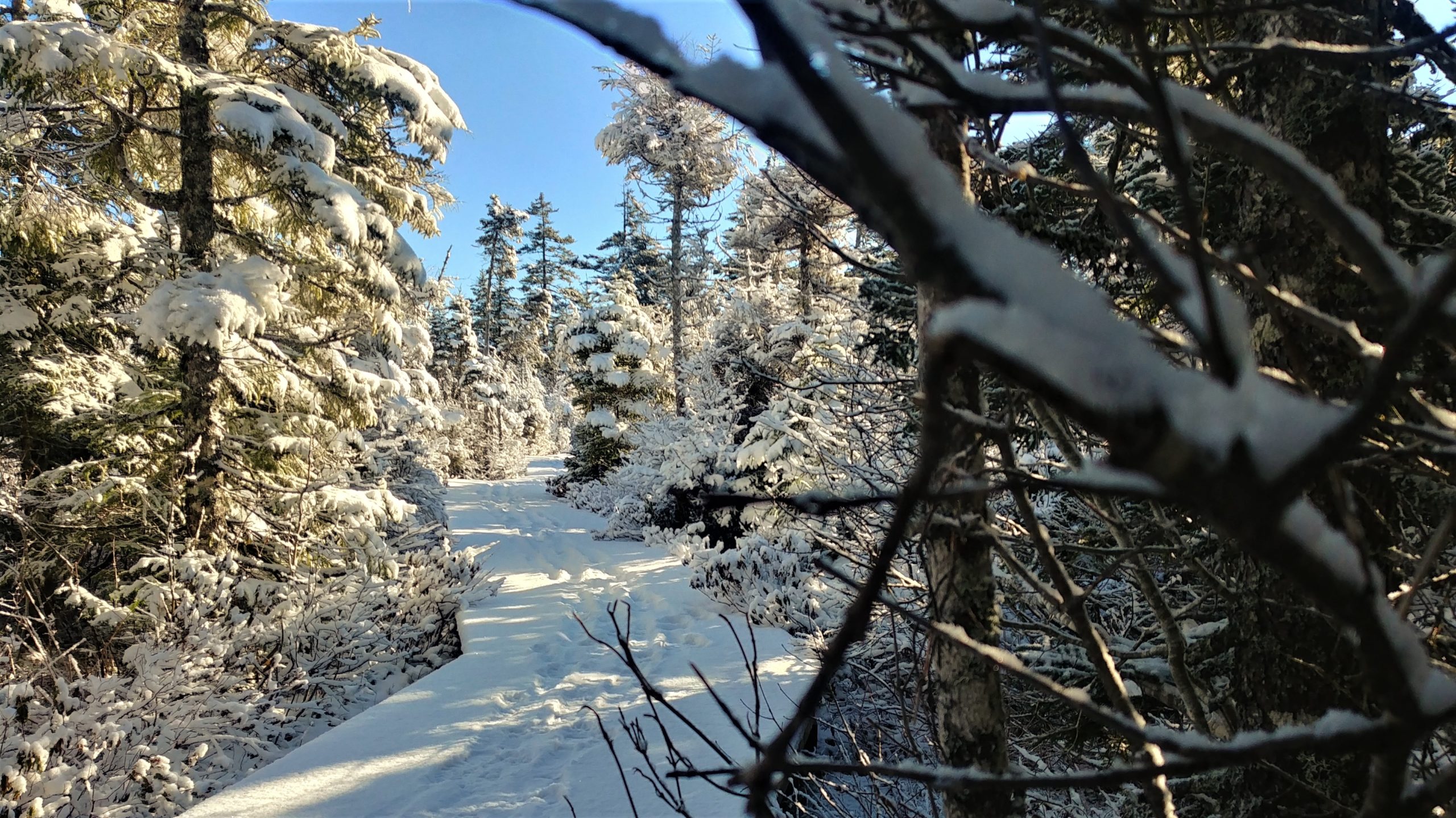 Parc national Fundy hiver randonnée pédestre Nouveau-Brunswick Arpenter le chemin