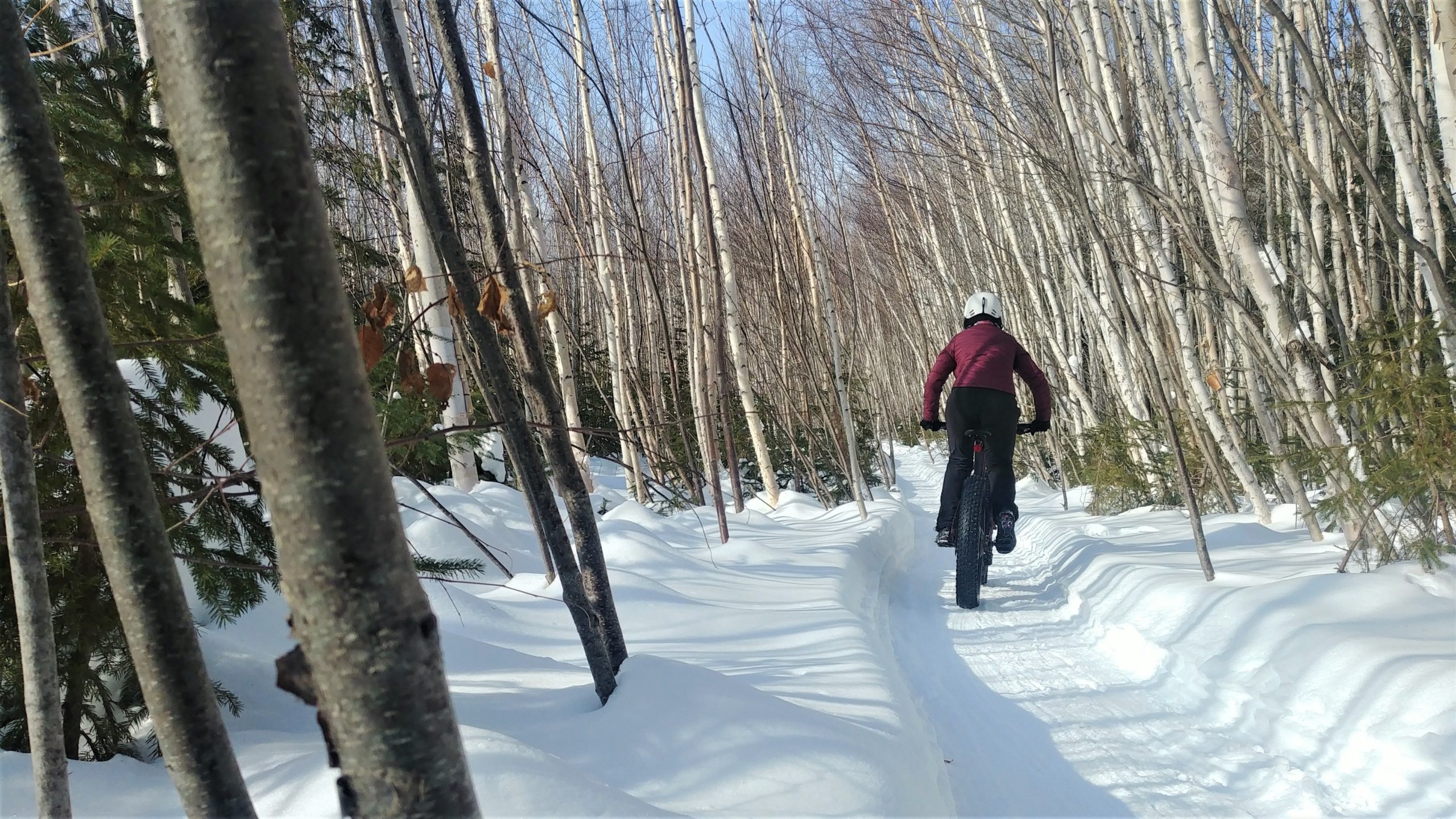 Région Chaleur fat bike vélo d'hiver Bathurst Nouveau-Brunswick