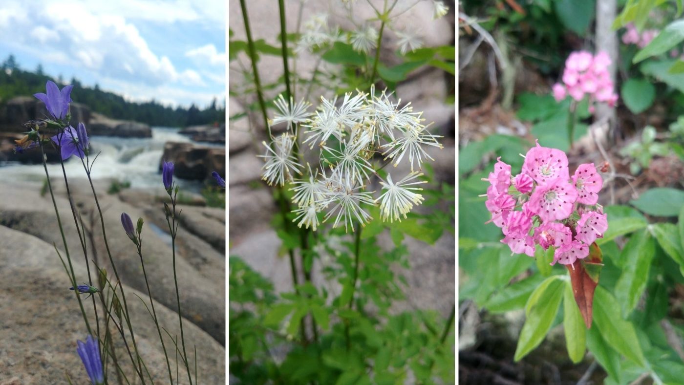 NOUVEAUBRUNSWICK // Escapade estivale autour de Bathurst