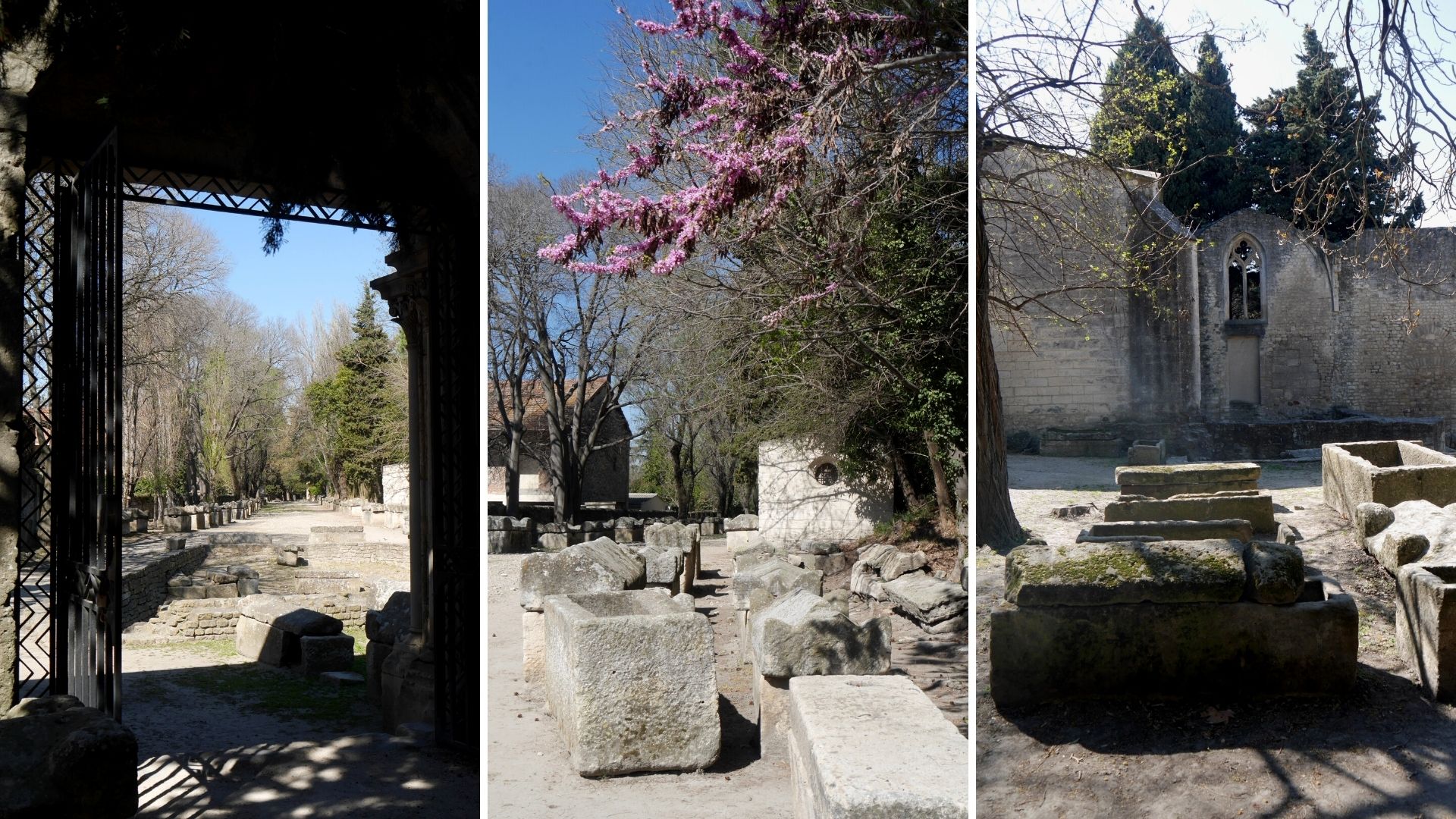 Infos pratiques voyage gothique nécropole Alyscamps Arles Provence France