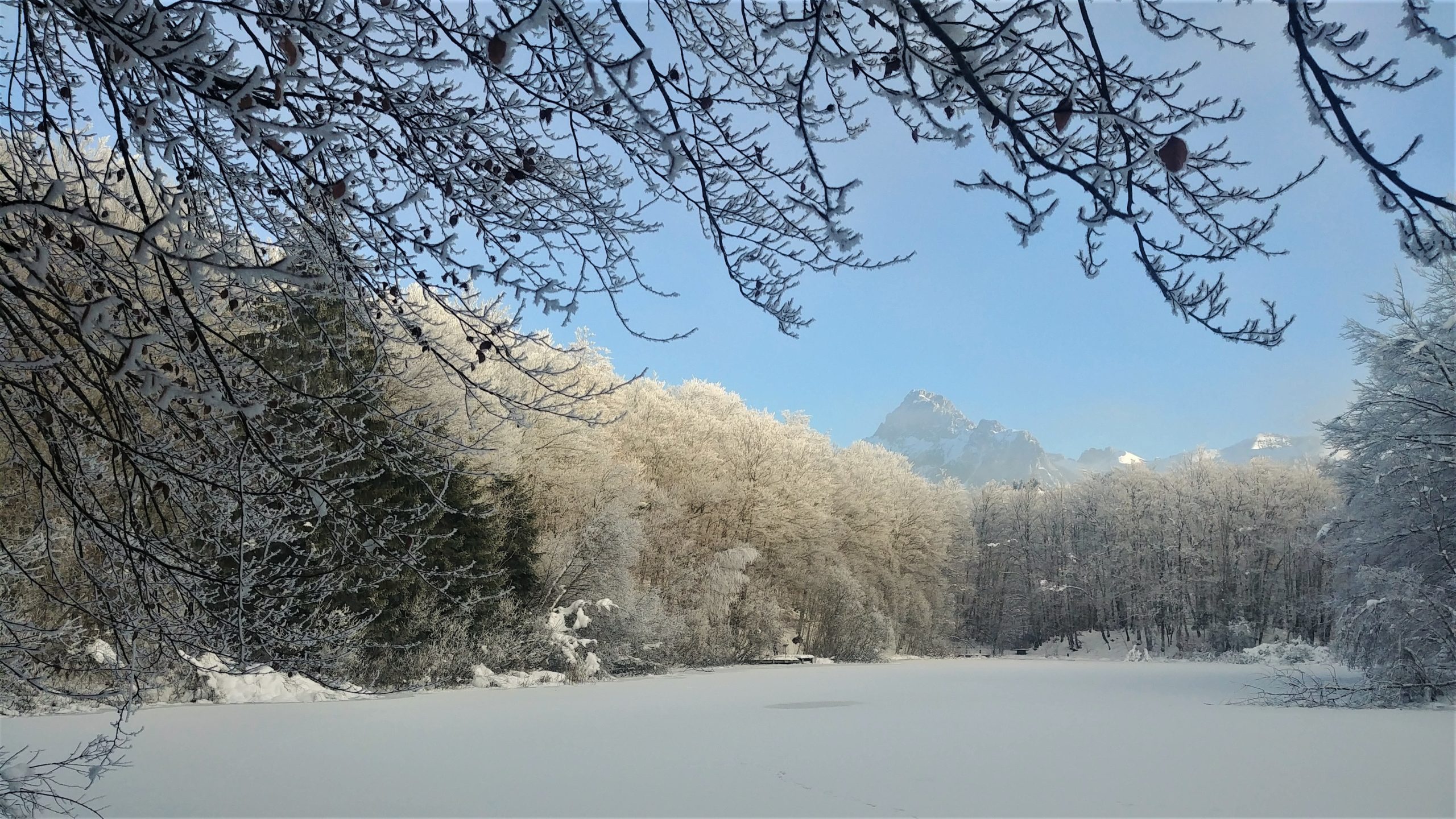 Evian Saint-Paul en Chablais tour lac Noir lac Beunaz infos pratiques rando facile hiver Haute-Savoie