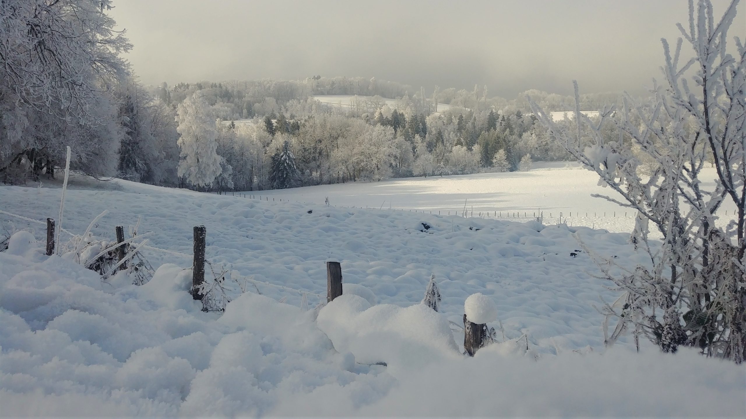 Haute-Savoie Chablais plateau de Gavot que faire hiver blog voyage Arpenter le chemin