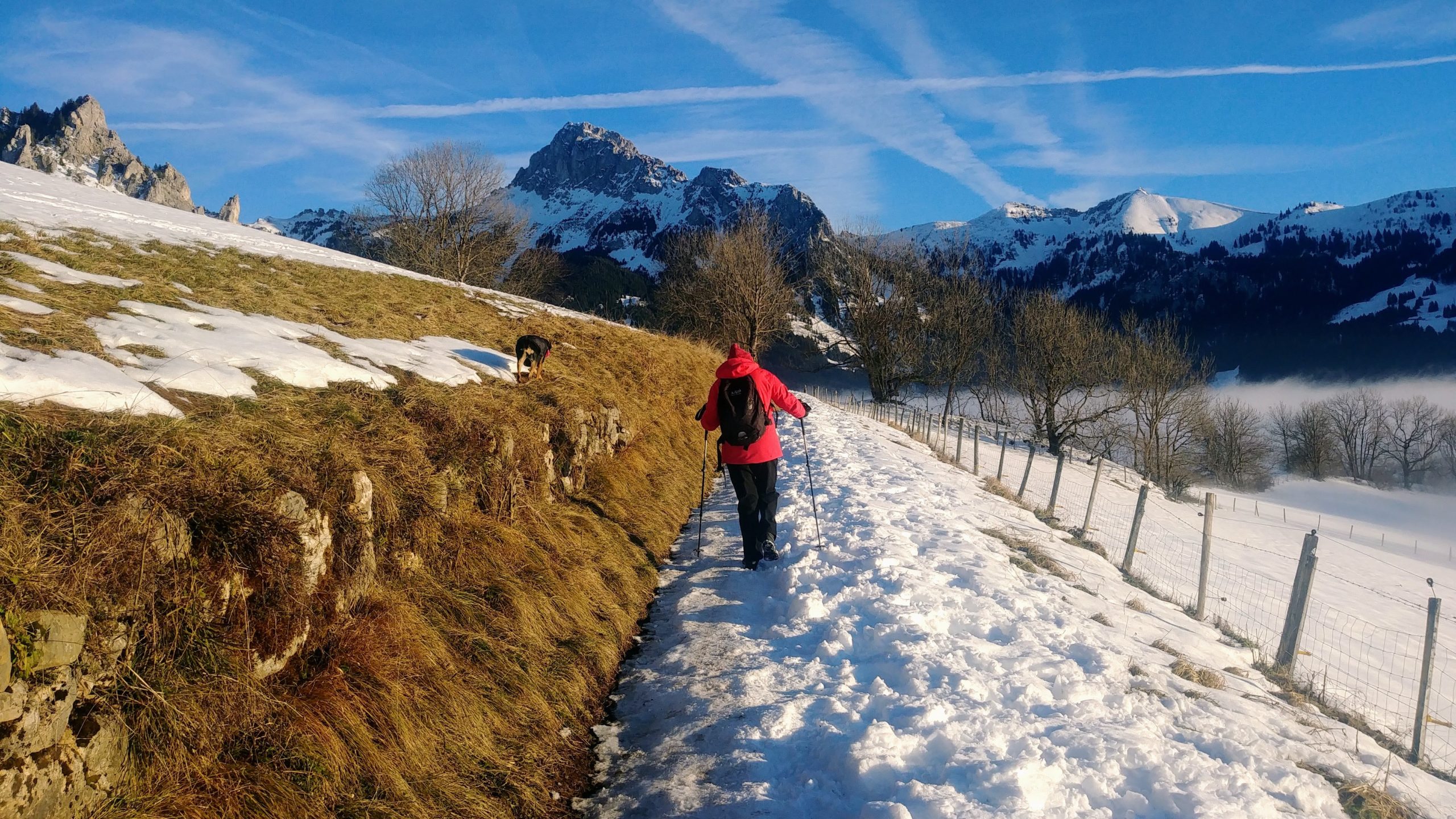 Bernex où randonner en hiver l'alpage Bénand blog voyage Arpenter le chemin