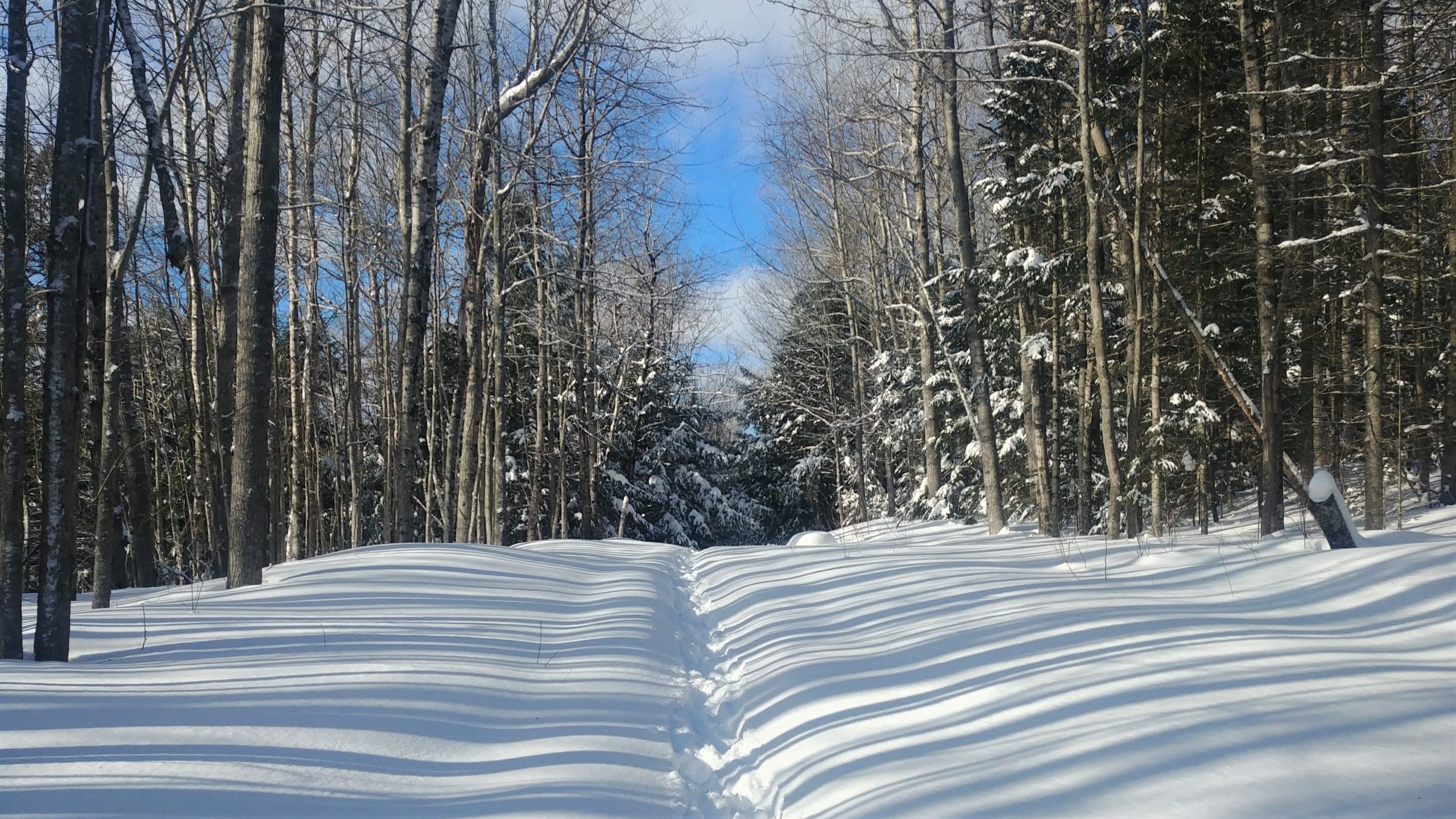 Hall Creek sentier hiver Moncton