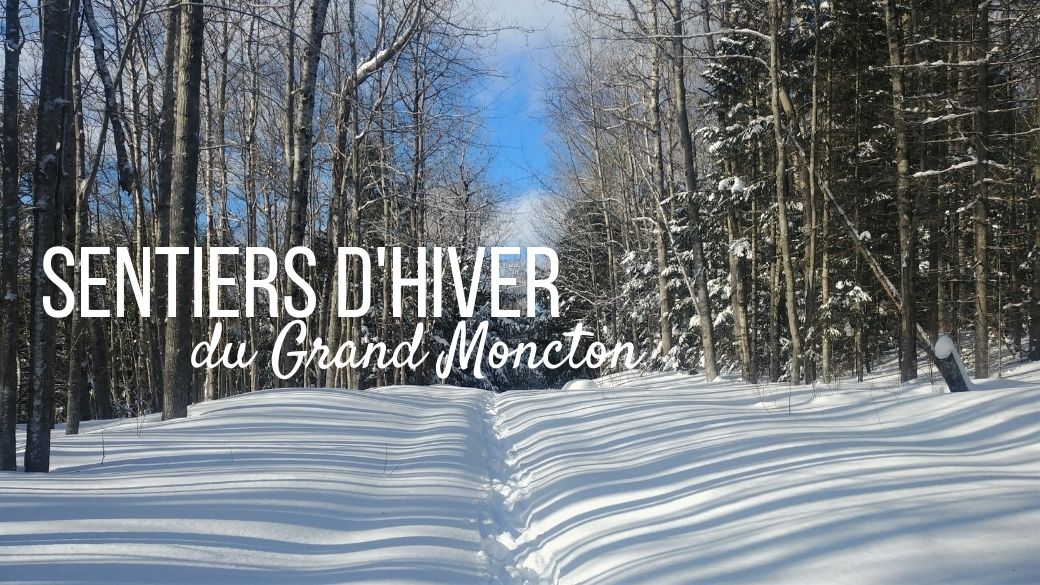 Sentiers hiver Moncton Riverview Dieppe