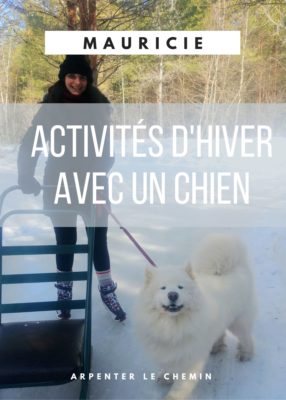 Activités à essayer en hiver avec son chien en Mauricie, Québec