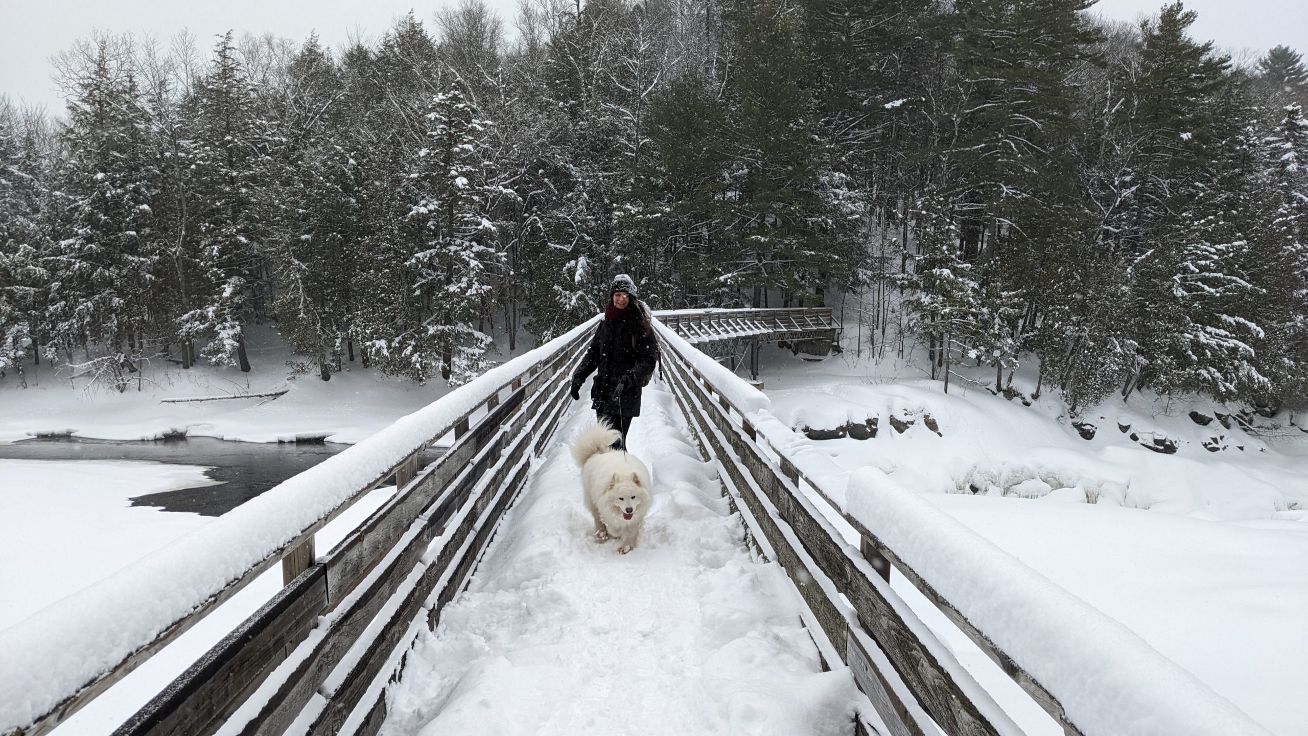 Parc rivière Batiscan hiver chien Trois(Rivières Québec blog de voyage arpenter le chemin