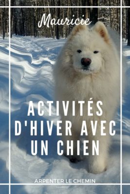 Que faire en hiver avec un chien en Mauricie - Québec