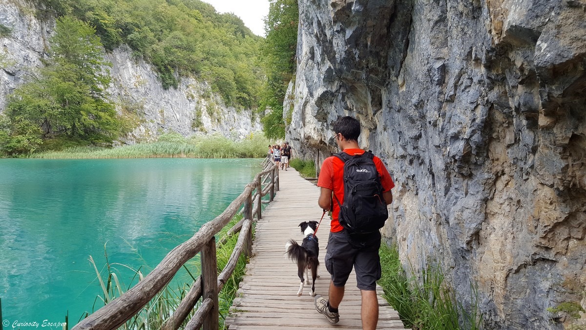Destinations voyage chien Croatie