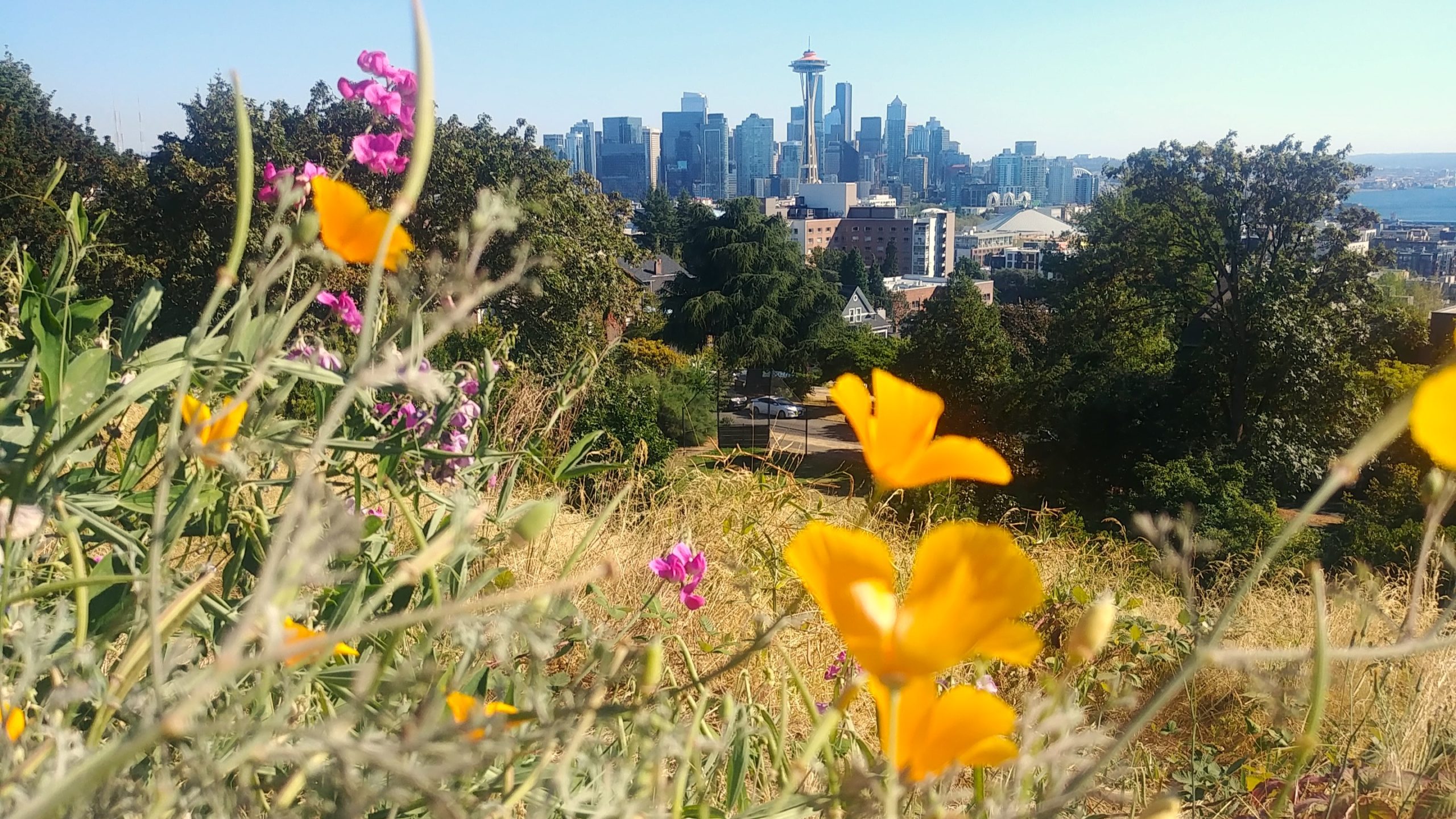 Seattle Kerry Park panorama que faire escapade blog voyage Arpenter le chemin