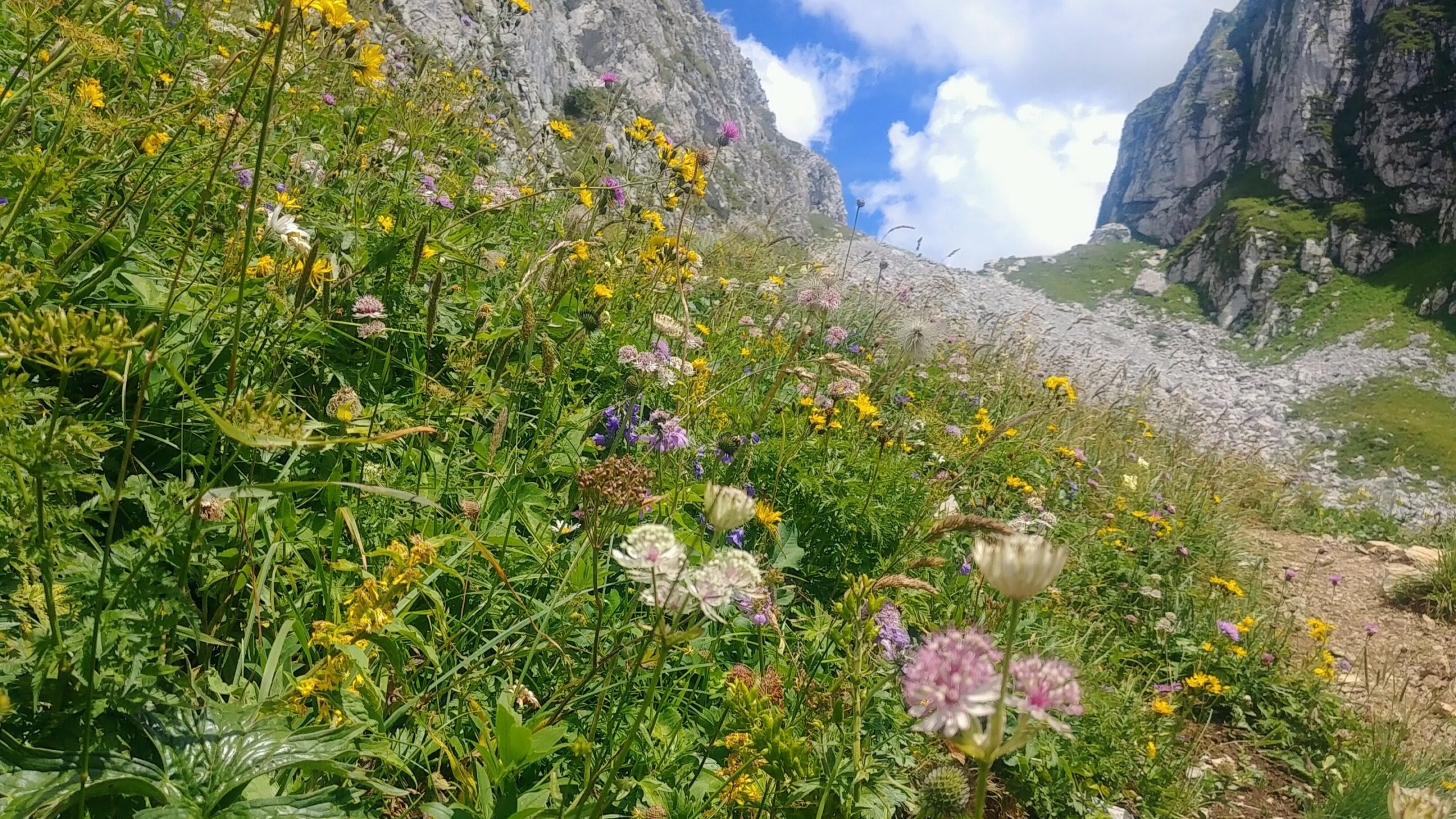 Bernex Evian idée randonnée facile modérée Alpes Haute-Savoie