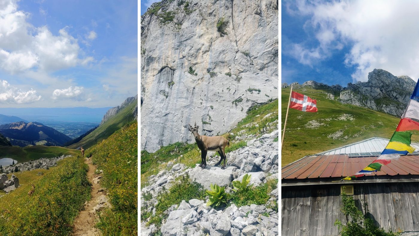 Randonnée itinéraire modérée Bernex Haute-Savoie